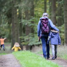 Aikuinen ja lapsia kävelee metsätiellä. / Family walking in a forest.
